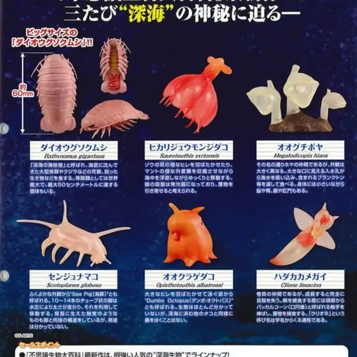 [SOLD OUT] (단종)10여년 전 가챠 다카라토미 심해어 가챠 5종 판매