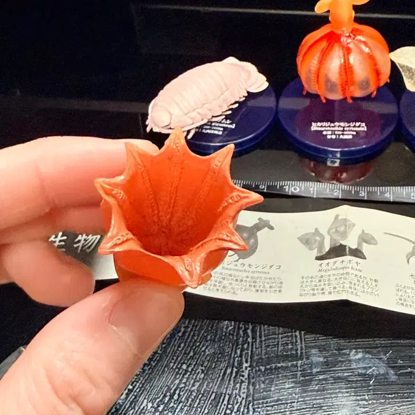 [SOLD OUT] (단종)10여년 전 가챠 다카라토미 심해어 가챠 5종 판매