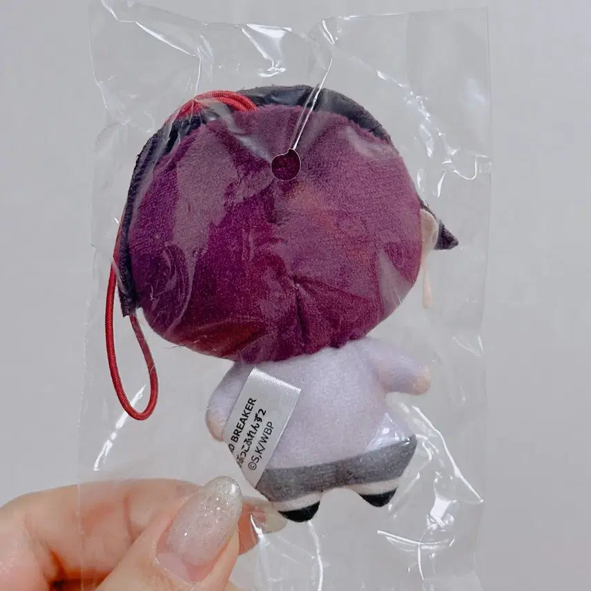 [BUNJANG] Wind Breaker S.O. Nui Gacha Plush / 윈브레 스오 누이 가챠 윈드브레이커