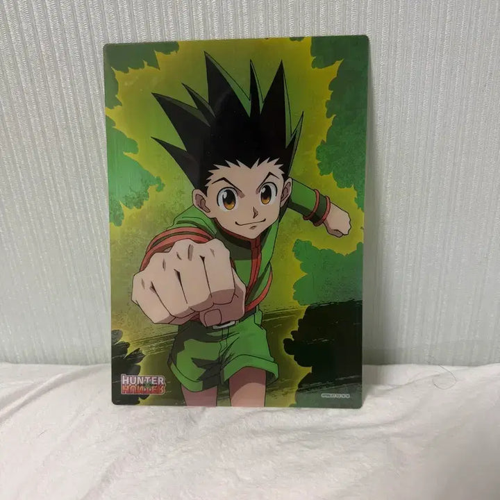 [BUNJANG] Hunter x Hunter Gon Clear File / 헌터x헌터 곤 클리어 파일