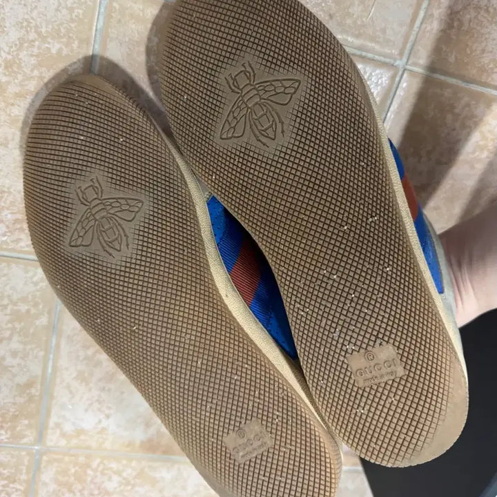 [BUNJANG] Gucci Screener Sneakers / 구찌 스크리너 스니커즈 풀박스
