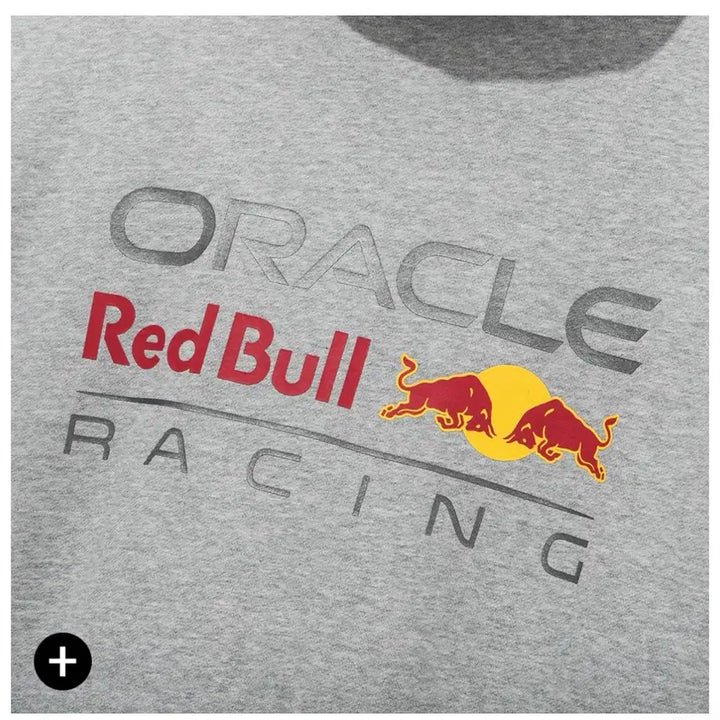 [BUNJANG] Red Bull Racing Hoodie Black (Size 100) / F1레드불 레이싱 후드티 블랙 100