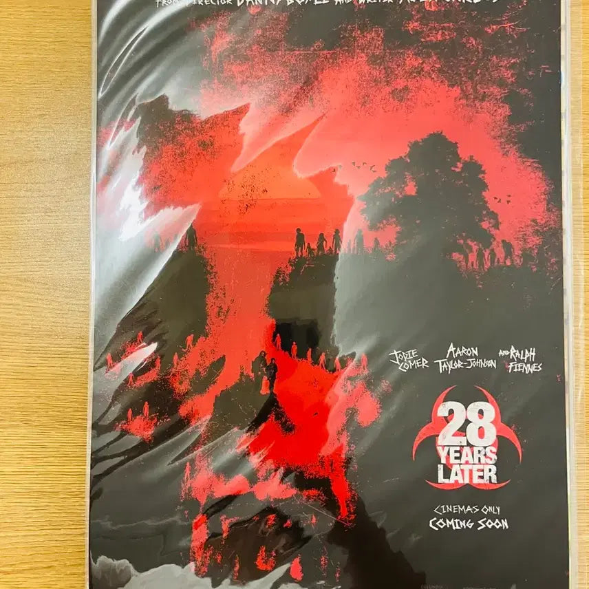 [BUNJANG] 28 Years Later Poster / 28년후 포스터