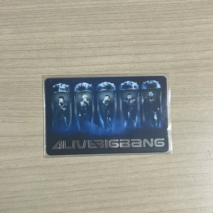 [SOLD OUT] 빅뱅 ALIVE 패밀리 포토카드 YG 얼라이브 2012
