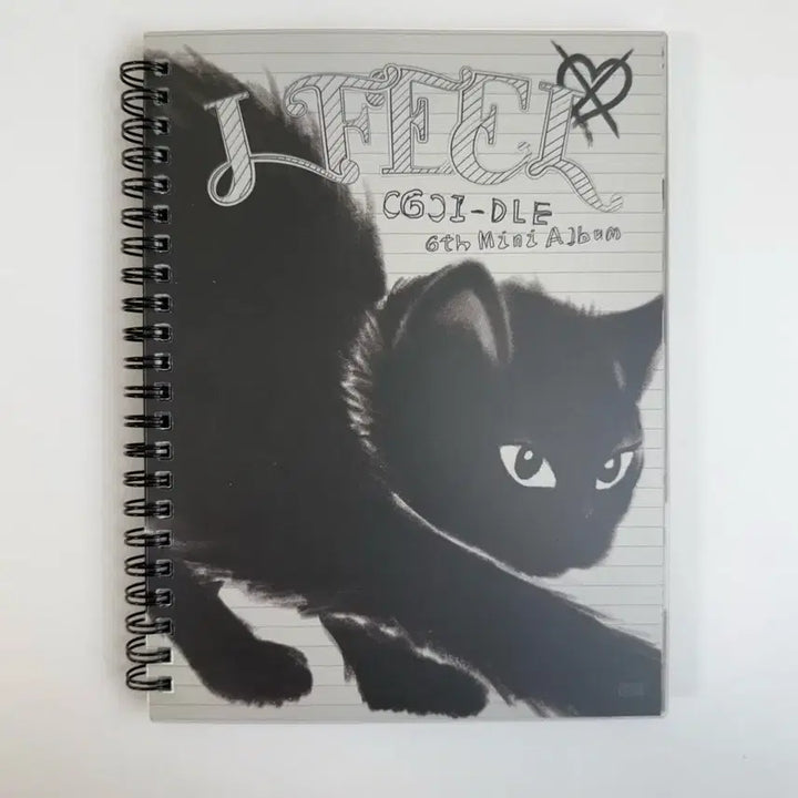 [SOLD OUT] 여자아이들 아이들 I feel 앨범 cat ver.