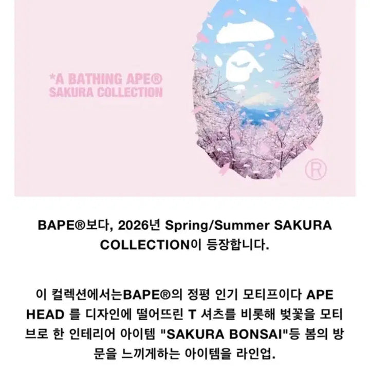 [BUNJANG] BAPE Sakura Mini T-shirt White (W) / 베이프 사쿠라 포토 에이프 헤드 미니 티셔츠 화이트(W) S