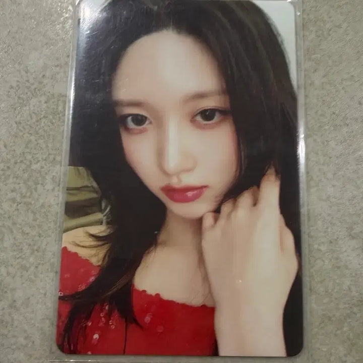 [SOLD OUT] (폭덤) 가을 파파존스 9차 포토카드