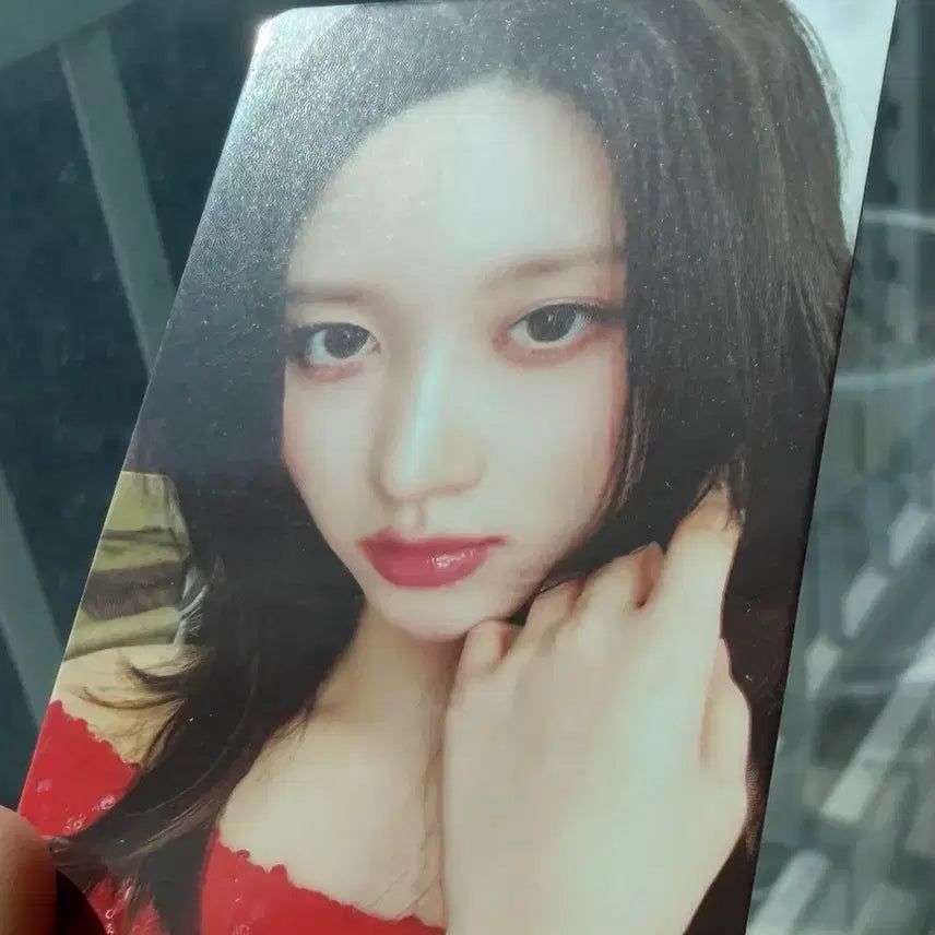 [SOLD OUT] (폭덤) 가을 파파존스 9차 포토카드