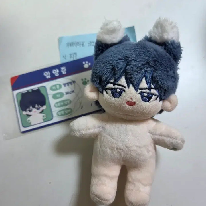 [BUNJANG] Gabagetime Park Byungchan 10cm Doll / 가비지타임 컁컁병찬 박병찬 10깅+입양증