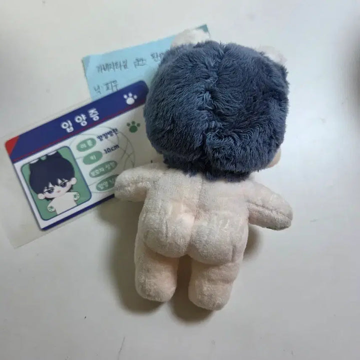 [BUNJANG] Gabagetime Park Byungchan 10cm Doll / 가비지타임 컁컁병찬 박병찬 10깅+입양증