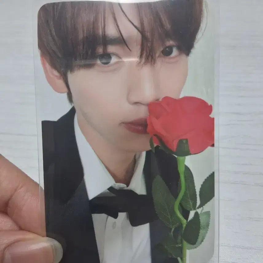 [BUNJANG] ZEROBASEONE 3rd Day Photocard / 제로즈존 3일차 포카 양도