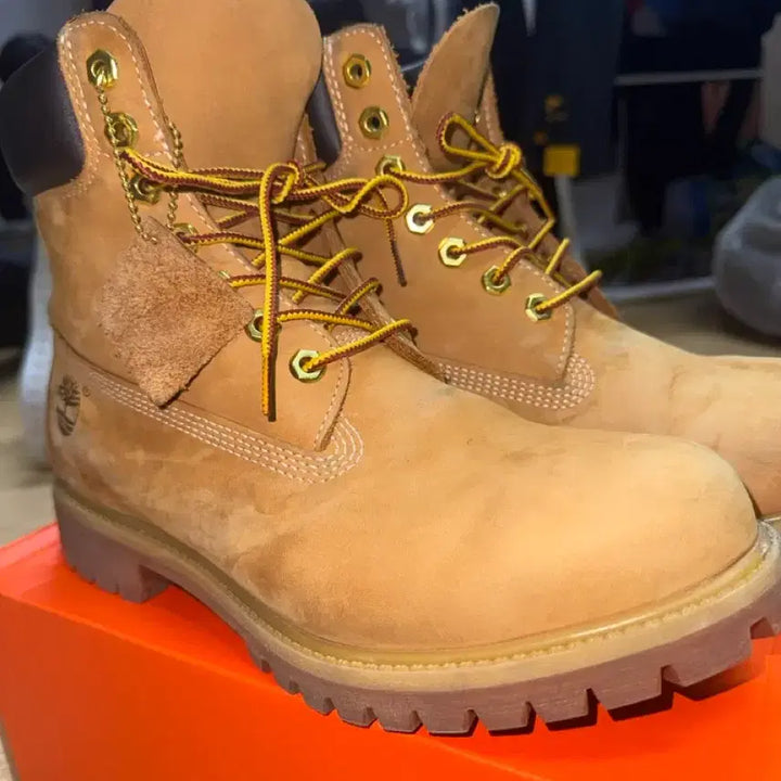 [BUNJANG] Timberland 6-Inch Waterproof Boots / 팀버랜드 6인치 워커 판매합니다. 270
