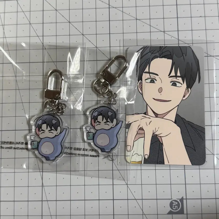 [BUNJANG] One Room Instructor Beom-ske Keyring and Photocard Bundle Set / 원룸 조교님 범스케 키링, 포카 일괄