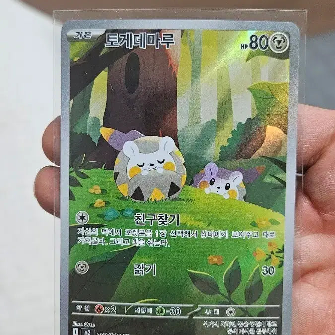[SOLD OUT] 포켓몬카드 토게데마루 AR 카드 팝니다