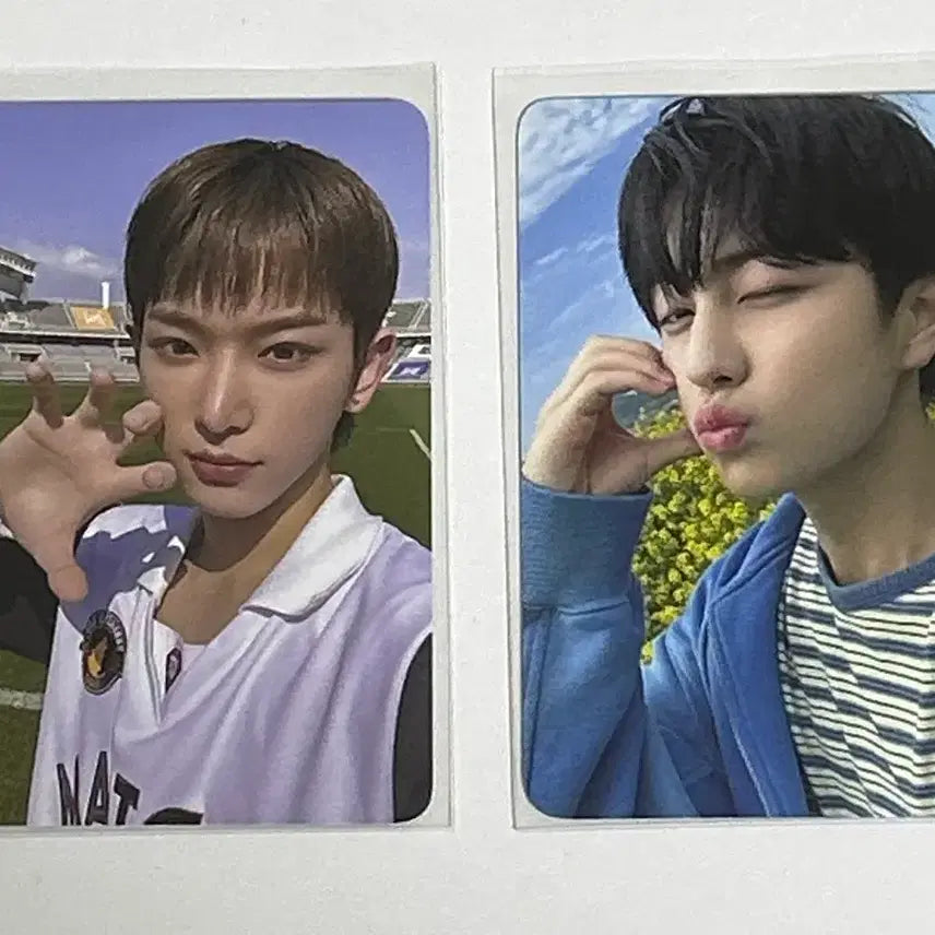 [BUNJANG] ReneZone Harua Taki Photocard Bundle Set / 르네존 하루아 타키 포카