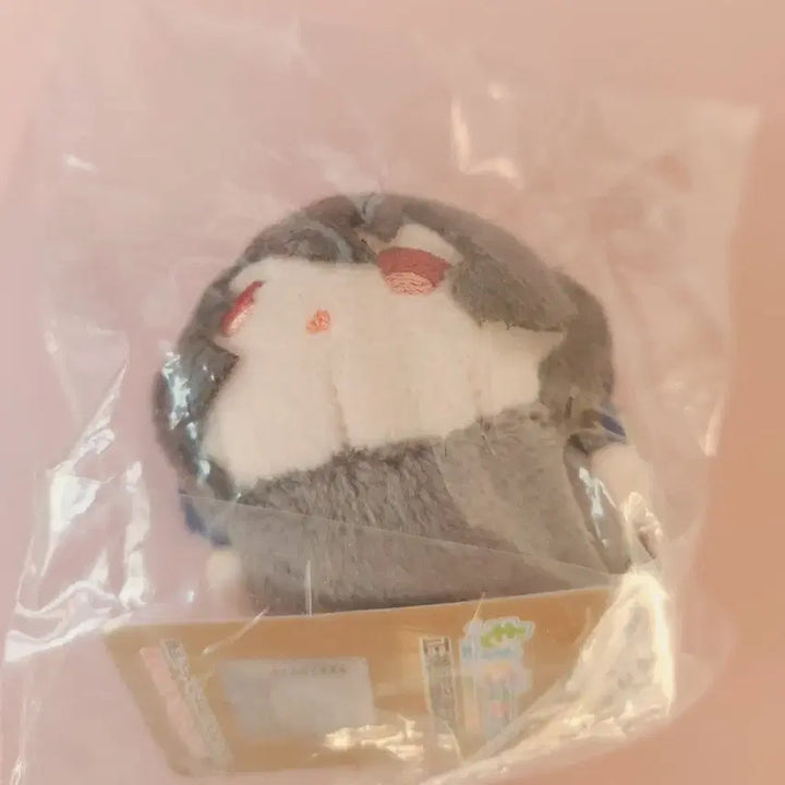[BUNJANG] Ensemble Stars Sakuma Ritsu MochiMochi Mascot Bundle Set / 앙스타 사쿠마 리츠 모찌마스 일괄 처분