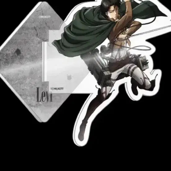 [BUNJANG] Attack on Titan Levi Magnet / 리바이마그넷판매합니다