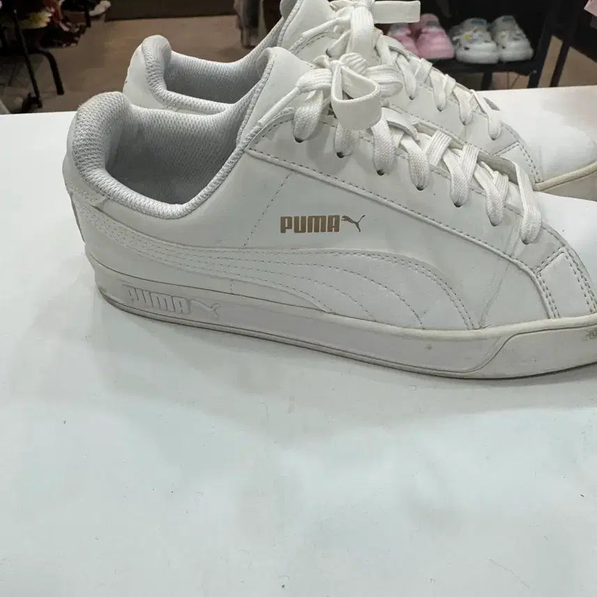 [BUNJANG] Puma All White Sneakers 260mm / 푸마 올화이트 스니커즈 260 / 데일리 깔끔템
