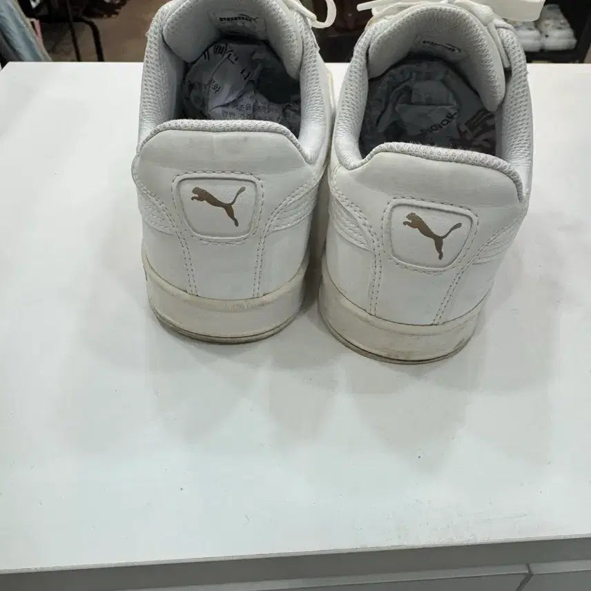 [BUNJANG] Puma All White Sneakers 260mm / 푸마 올화이트 스니커즈 260 / 데일리 깔끔템