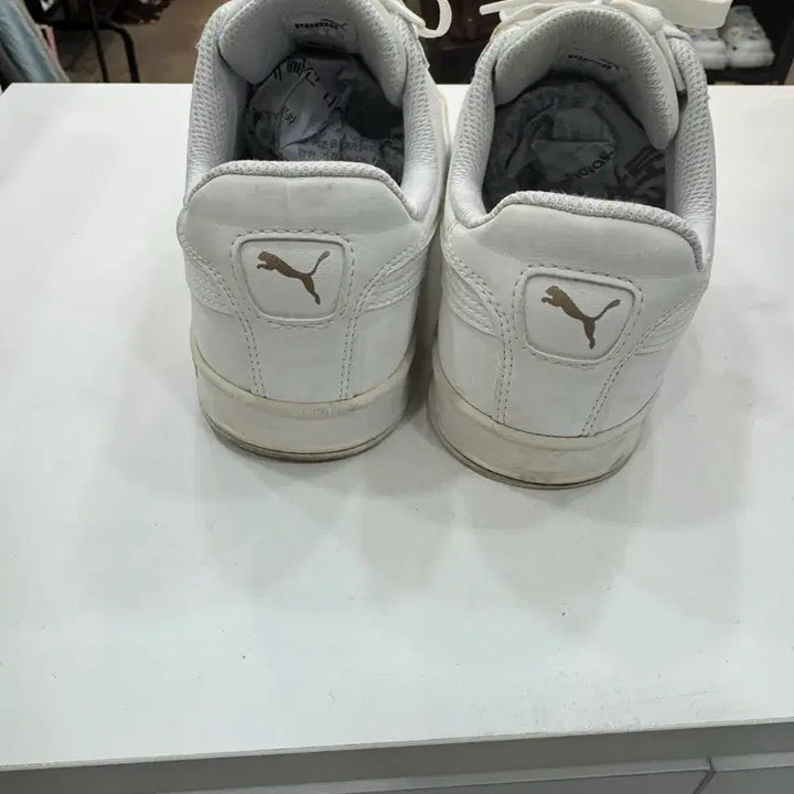 [BUNJANG] Puma All White Sneakers 260mm / 푸마 올화이트 스니커즈 260 / 데일리 깔끔템