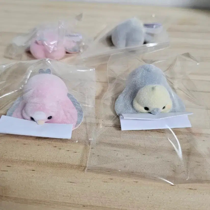 [BUNJANG] Yurumi Lottery Budgerigar &amp; Cockatiel Gachapon Set / 유루미 복권 잉꼬 가챠 2개 세트