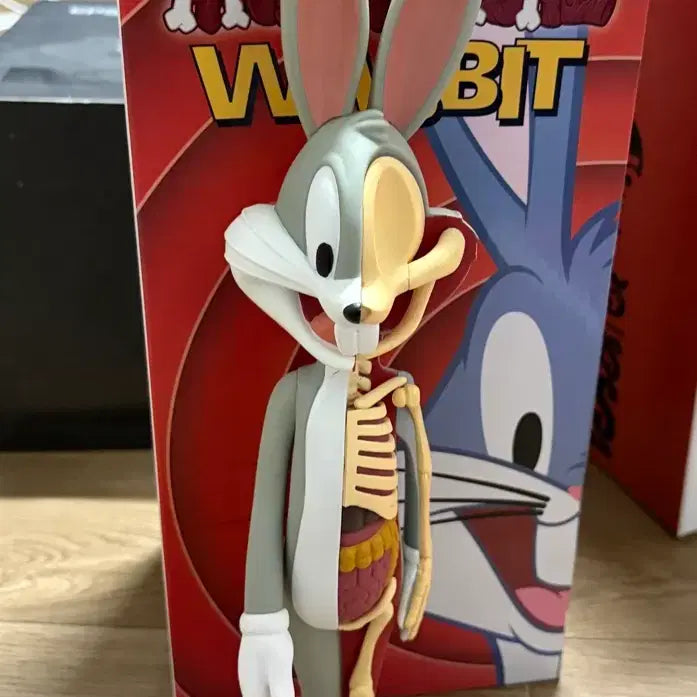 [BUNJANG] Kidrobot Jason Freeny Bugs Bunny Anatomical Figure / 제이슨 프리니 벅스버니 아트토이  (Kidrobot/키드로봇)