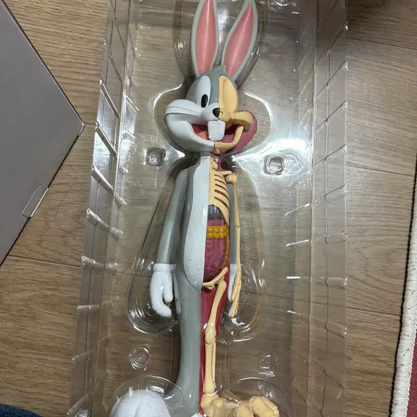 [BUNJANG] Kidrobot Jason Freeny Bugs Bunny Anatomical Figure / 제이슨 프리니 벅스버니 아트토이  (Kidrobot/키드로봇)