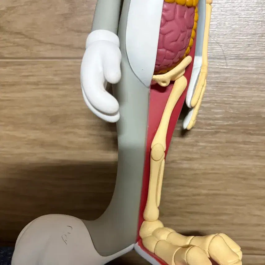 [BUNJANG] Kidrobot Jason Freeny Bugs Bunny Anatomical Figure / 제이슨 프리니 벅스버니 아트토이  (Kidrobot/키드로봇)