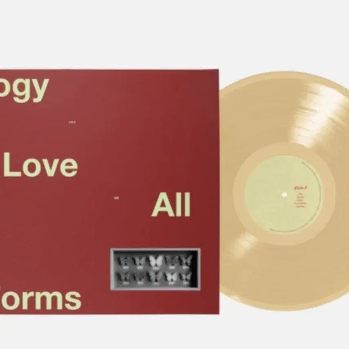 [BUNJANG] 12BH An Anthology of Love LP / (미개봉) 원투비하이 12BH lp An Anthology of Love