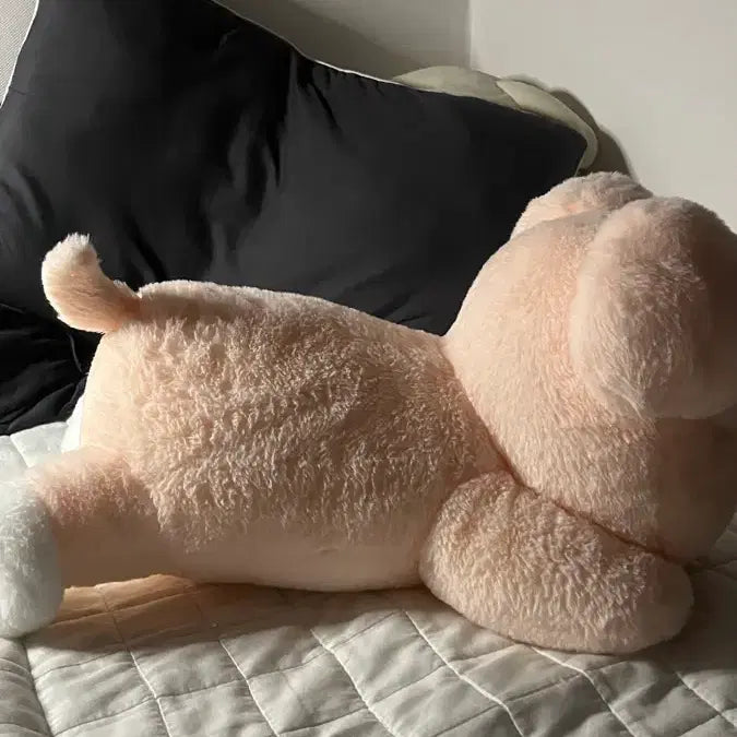 [BUNJANG] Stray Kids SKZ Lying Plush Teddy Bear Doll / 스트레이키즈 스키즈 퍼핌 라잉 플러시 나안아 테디베어 인형 양도