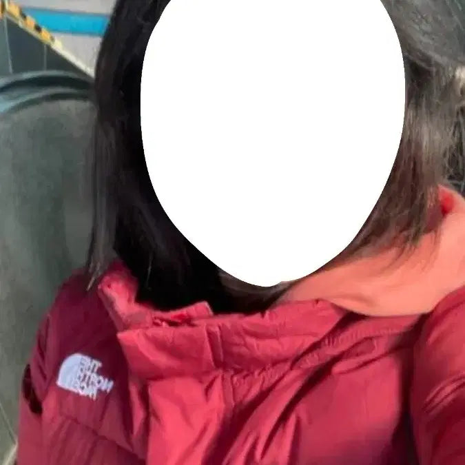 [BUNJANG] The North Face Burgundy Padded Jacket / 노스페이스 버건디 빨강 패딩 제발 사주세요...돈없어요