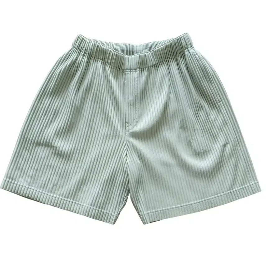 [BUNJANG] Homme Plissé Issey Miyake Pleated Shorts Light Green / [정품/S급] 옴므플리세 이세이 미야케 플리츠 반바지 라이트그린 2사이즈