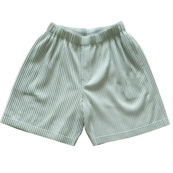[BUNJANG] Homme Plissé Issey Miyake Pleated Shorts Light Green / [정품/S급] 옴므플리세 이세이 미야케 플리츠 반바지 라이트그린 2사이즈