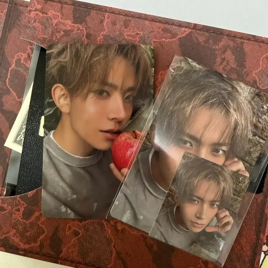 [BUNJANG] ENHYPEN Ni-ki Weverse Version Album + Photocards / 엔하이픈 더 신: 베니쉬 앨범 엔진반 니키버전 (앨포)