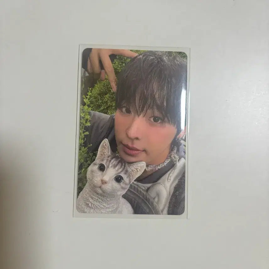 [BUNJANG] Enhypen Riku Photocard / 컬러 리쿠 포카
