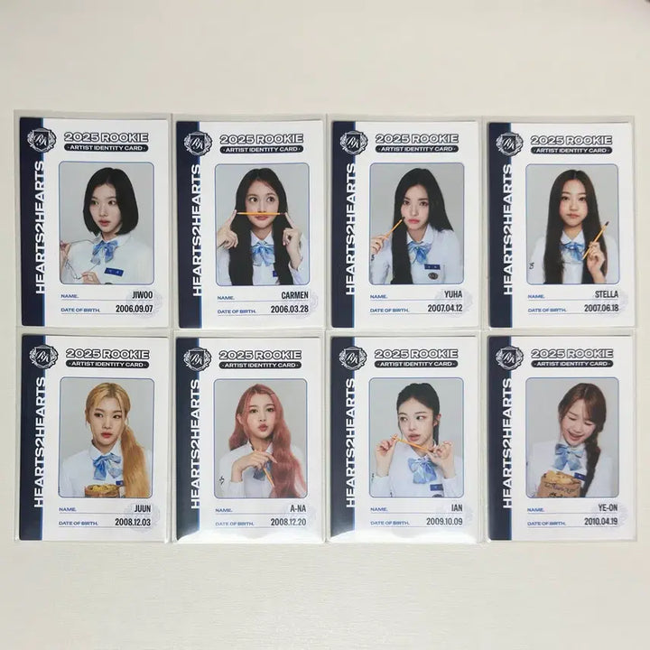 [BUNJANG] Tereka Heart to Heart Student ID 8-Piece Set / 테레카 하투하 학생증 8장 풀셋