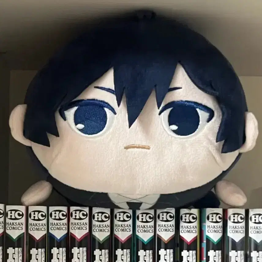 [BUNJANG] Aki Poteko Nuim M Size Plush / 아키 포테코로누이m사이즈