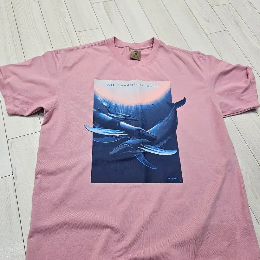 [BUNJANG] Nike ACG Short Sleeve T-shirt (XL) / 나이키 ACG 반팔 티 국내 xl