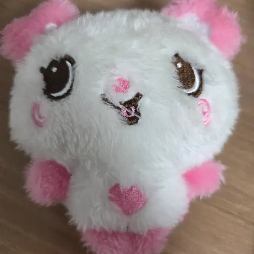 [SOLD OUT] 사쿠 팡이 위시돌