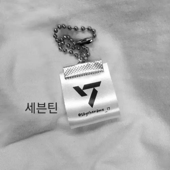 [SOLD OUT] !세븐틴 비공굿 라벨키링 세트!