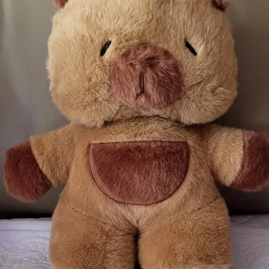[SOLD OUT] 애착 아기 곰돌이 백팩인형 브라운톤