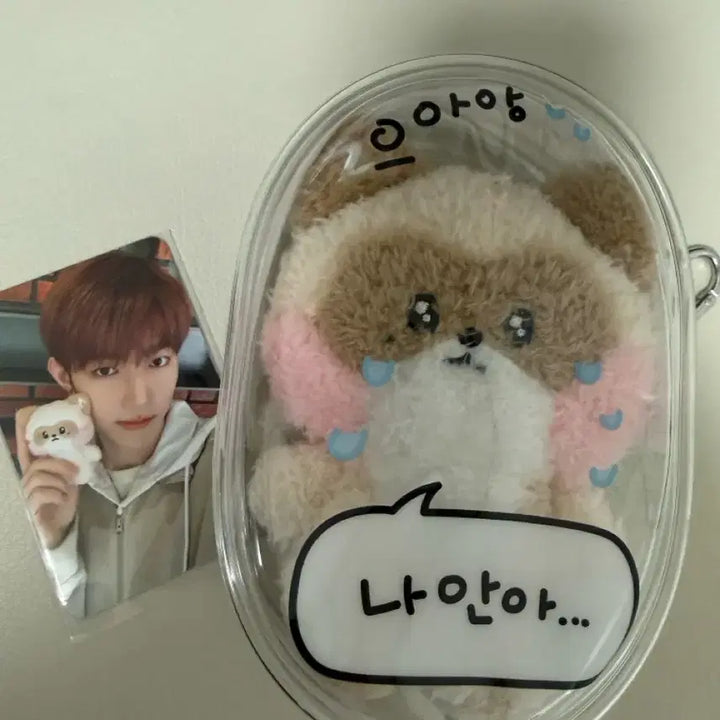 [BUNJANG] ZEROBASEONE Zhang Hao 1st Generation Hanini Photocard / 제로베이스원 장하오 1기 하니니 제베원(포토카드 포함)