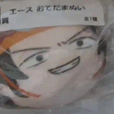 [BUNJANG] One Piece Ace Manju Odettama Nuigurumi Doll / 원피스 에이스 만쥬 오데타마누이 인형 굿즈