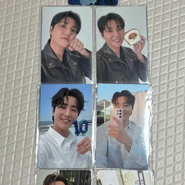 [BUNJANG] DAY6 POB Bundle Set / 데이식스 영케이 특전 포카 7장 일괄