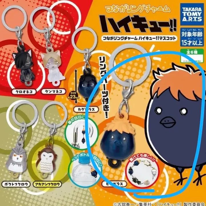 [BUNJANG] Haikyu Hinata Crow Medallion / 하이큐 메지루시 히나타 까마귀