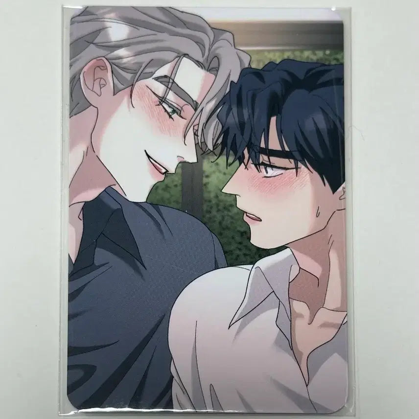 [BUNJANG] POB Photocard / 신학기 특전 뿌리없는나무 포카 양도합니다