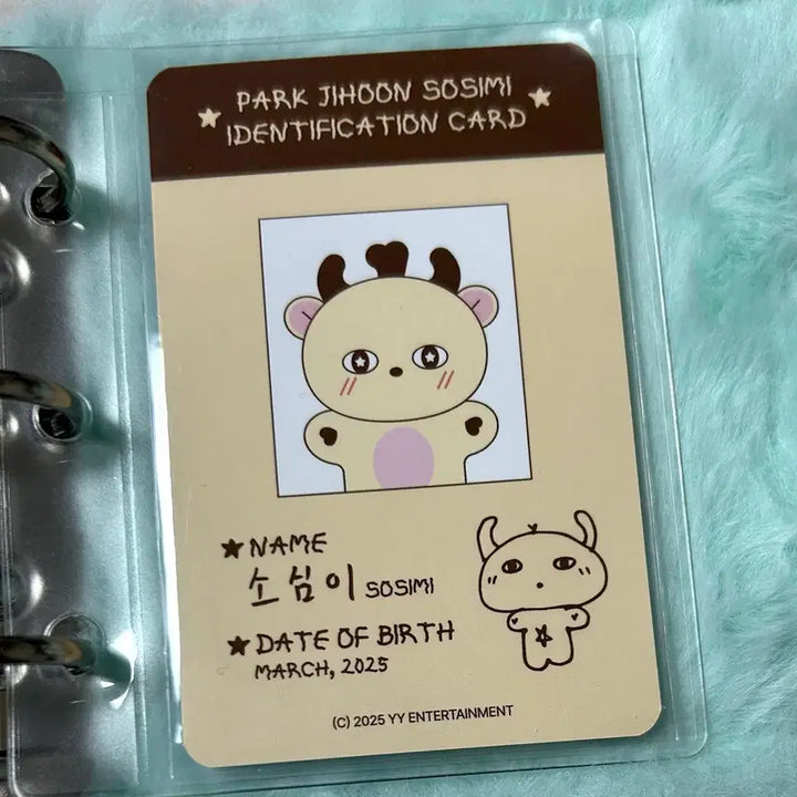 [SOLD OUT] 박지훈 소심이 포카 포토카드 양도 판매 왕사남 왕과사는남자