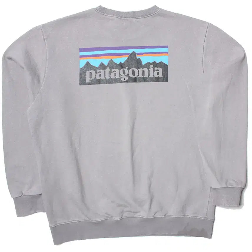 [BUNJANG] Patagonia Responsibility Relaxed Fit L T-Shirt / 105 파타고니아 리스폰시빌리티 릴렉스핏
