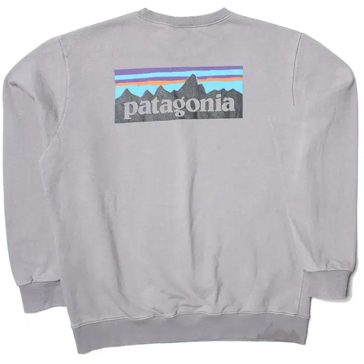 [BUNJANG] Patagonia Responsibility Relaxed Fit L T-Shirt / 105 파타고니아 리스폰시빌리티 릴렉스핏
