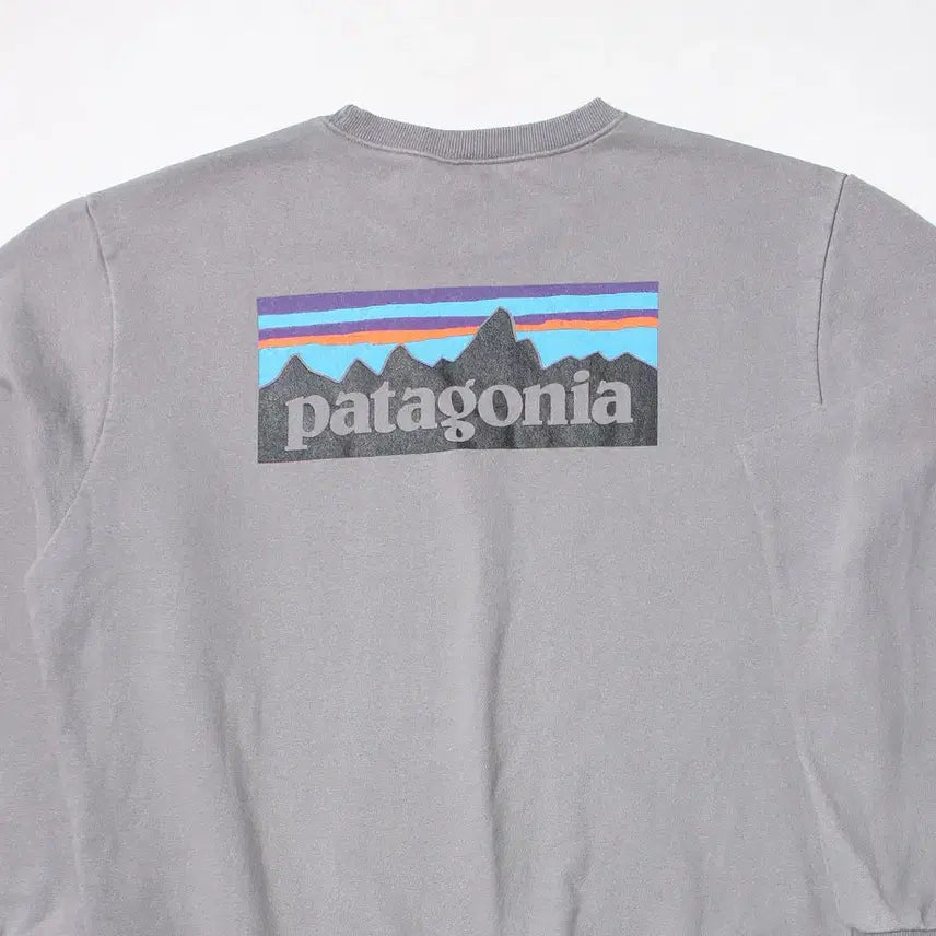 [BUNJANG] Patagonia Responsibility Relaxed Fit L T-Shirt / 105 파타고니아 리스폰시빌리티 릴렉스핏